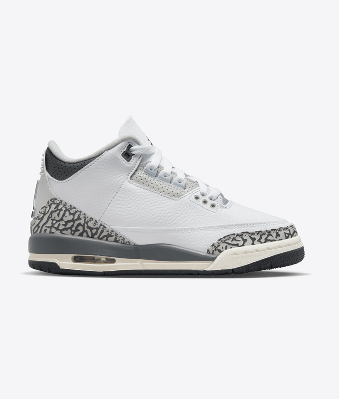 Air Jordan 3 Retro Gs