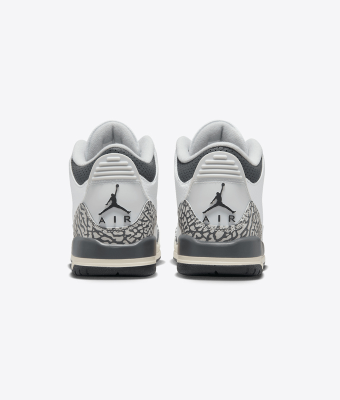 Air Jordan 3 Retro Gs