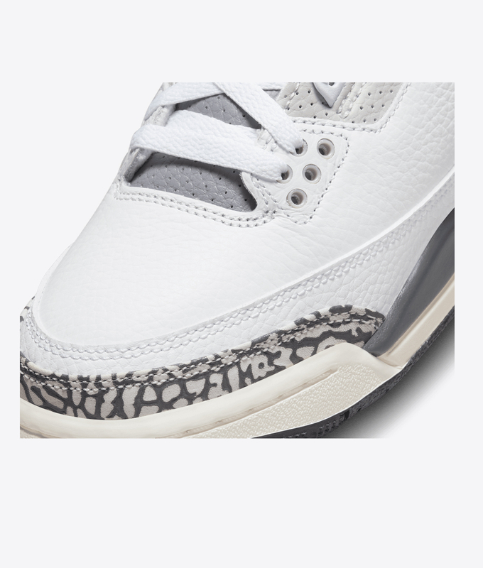 Air Jordan 3 Retro Gs