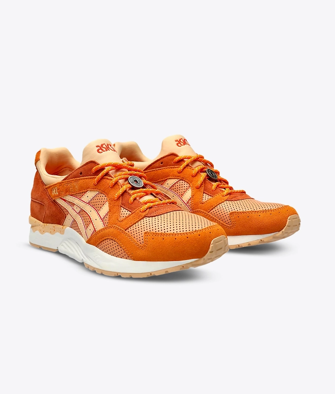 Gel-Lyte V