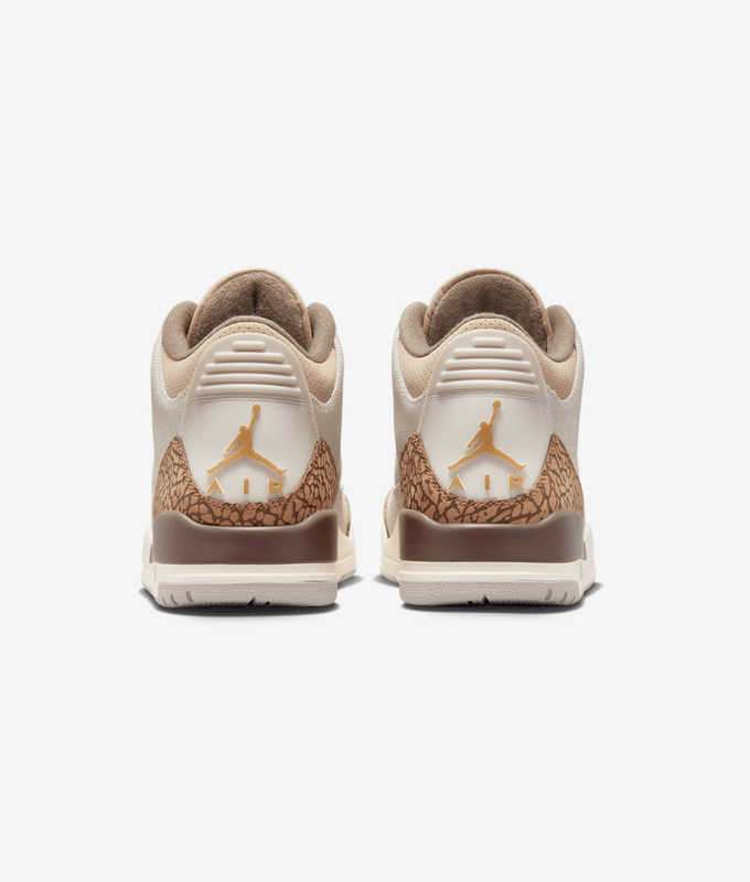 Air Jordan 3 Retro