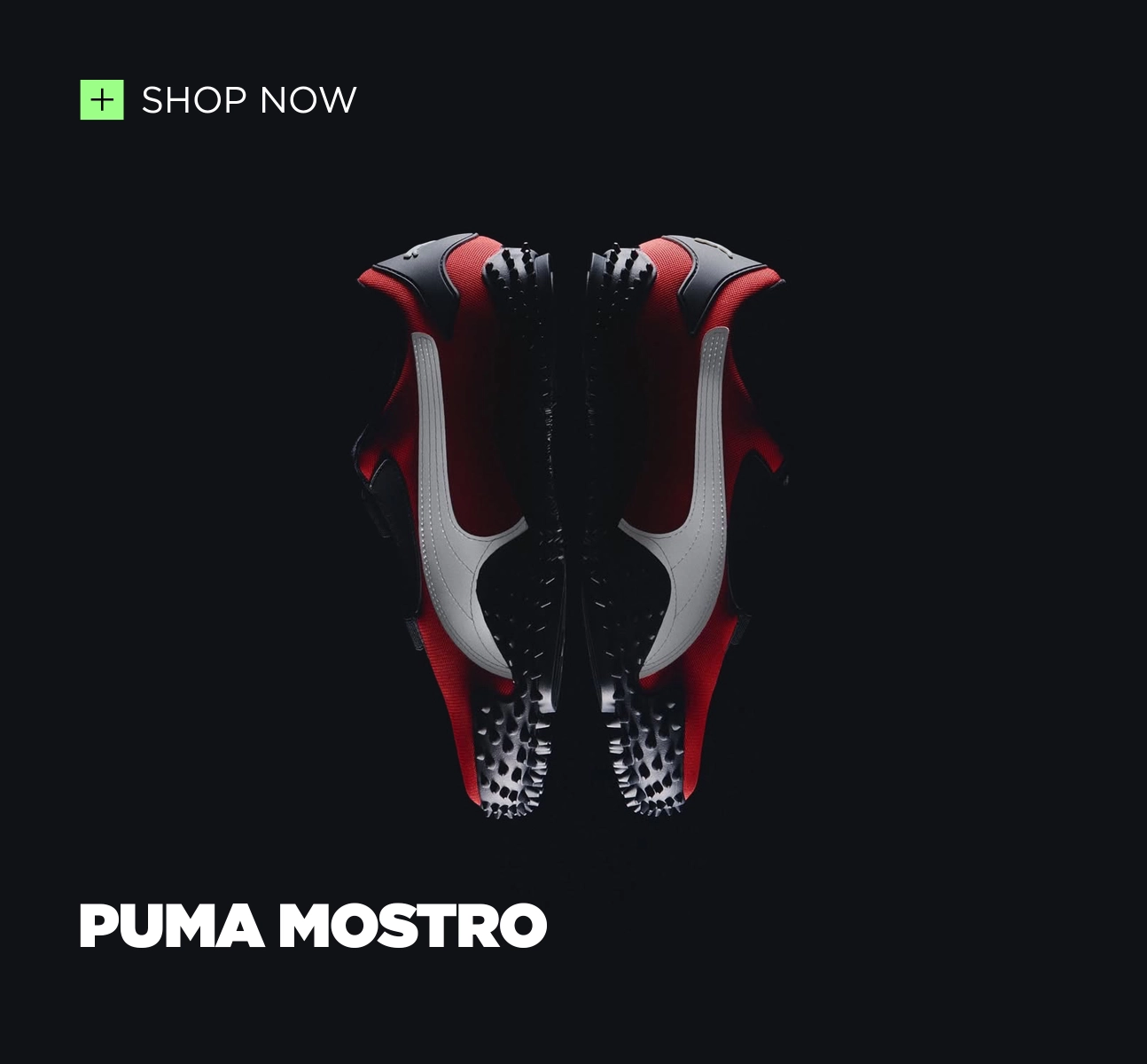 Puma