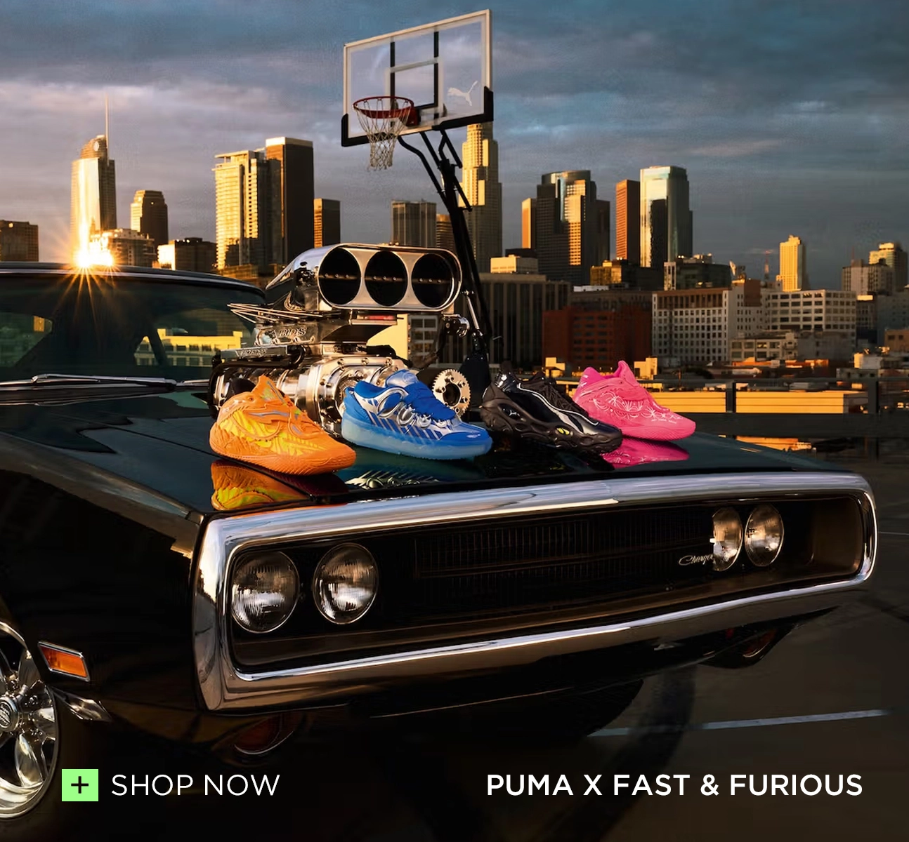 Puma F&F
